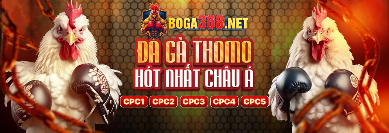 Hình ảnh banner điều khoản dịch vụ 79king3 trang chủ chính thức