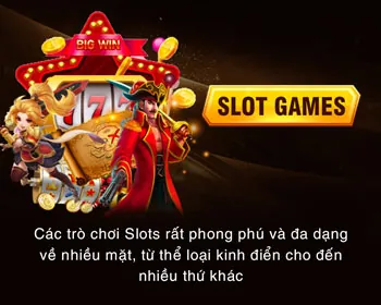 Lý do chọn 79king3